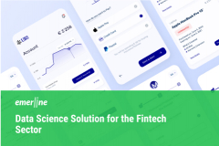 Data Science Solution for the Fintech Sector